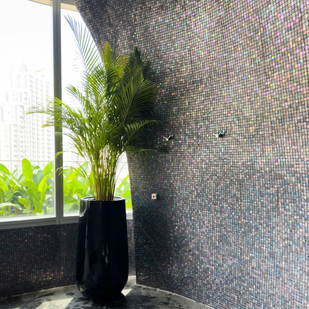 Areca Palm with large fiberglass planter